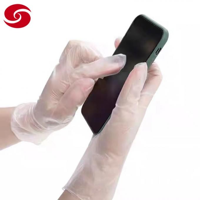 Disposable Clear Safety Medical PVC Vinyl Examination Gloves