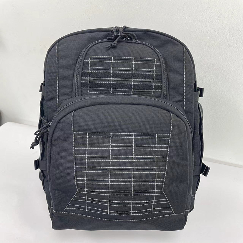 pistol bag